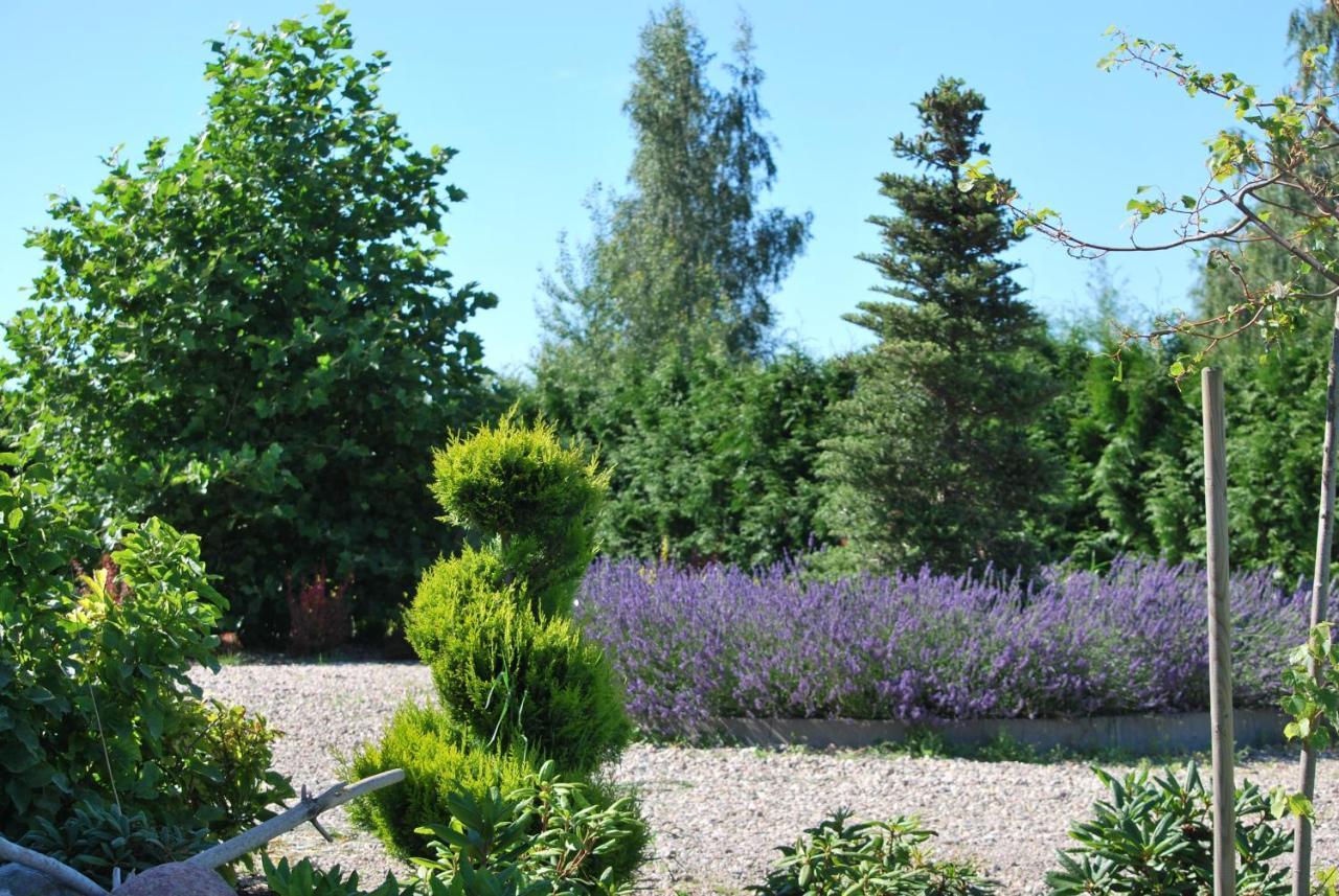Mussurhouse Villa Устка Екстериор снимка